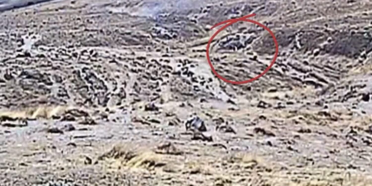 Identitas Sosok Putih Yang Diduga Penyebab Kebakaran Gunung Gede Masih Jadi Misteri