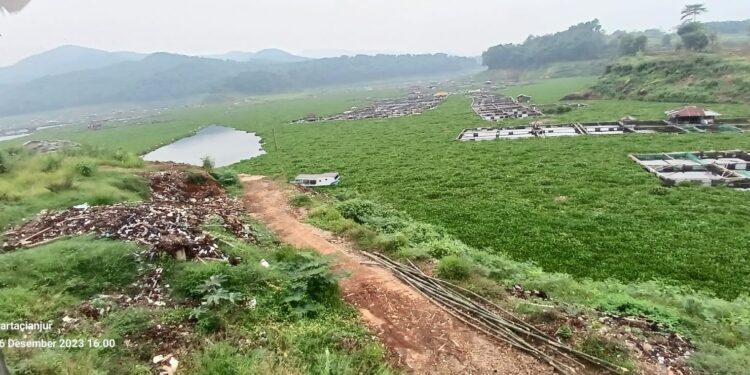 Sudah Satu Bulan Eceng Gondok Tutupi Waduk Cirata Jangari, Petani Ikan Harap Ada Solusi