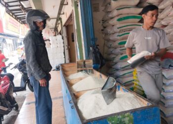 Lebih Murah dan Melimpah, Harga Beras di Cianjur di Bawah HET Bapanas