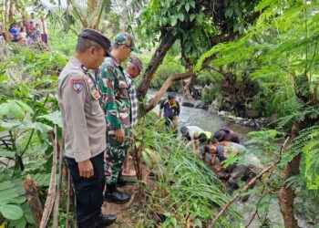 Tempat Penangkaran Jebol, Puluhan Ekor Buaya Lepas ke Pemukiman