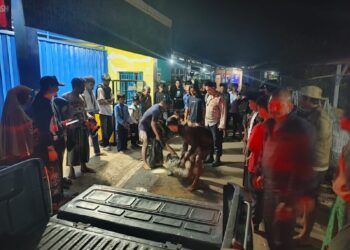 Tepergok Curi Motor, Maling Babak Belur Dihakimi Warga Cisarandi