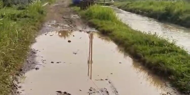 Akses Jalan Penghubung Dua Kampung di Desa Jati Rusak, Warga Ngeluh 7 Tahun Belum Diperbaiki
