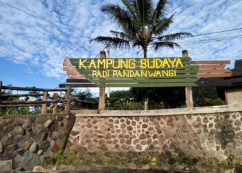 Dispudpar Cianjur Libatkan Sejumlah OPD untuk Pengembangan Budaya Pandan Wangi