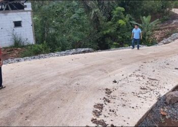 Pembangunan Akses Jalan dan Bangunan Peternakan PT AJBS Diduga Belum Kantongi Izin