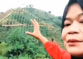 Viral Gunung Kasur Dijual, Ini Kata Camat Pacet!