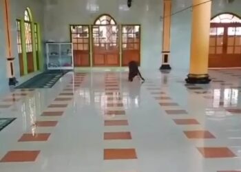 Heboh! Seekor Babi Hutan Masuk ke Dalam Masjid di Cikalongkulon